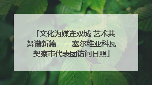 文化为媒连双城 艺术共舞谱新篇——塞尔维亚科瓦契察市代表团访问日照