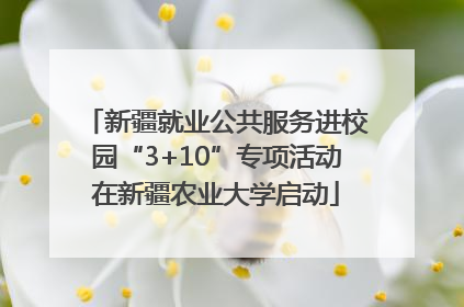 新疆就业公共服务进校园“3+10”专项活动在新疆农业大学启动