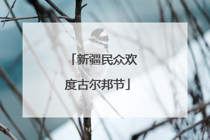 新疆民众欢度古尔邦节