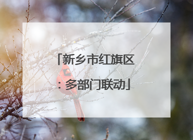 新乡市红旗区：多部门联动