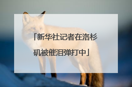 新华社记者在洛杉矶被催泪弹打中