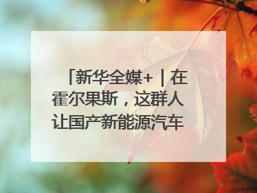 新华全媒+｜在霍尔果斯，这群人让国产新能源汽车“跑”向中亚
