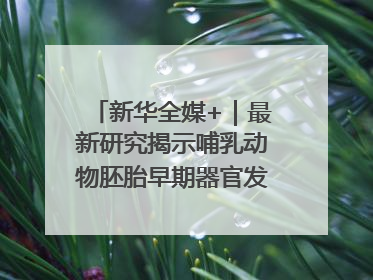 新华全媒+｜最新研究揭示哺乳动物胚胎早期器官发育“密码”