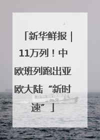 新华鲜报｜11万列！中欧班列跑出亚欧大陆“新时速”