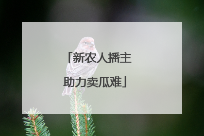 新农人播主 助力卖瓜难
