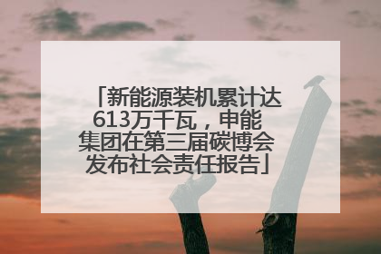 新能源装机累计达613万千瓦,申能集团在第三届碳博会发布社会责任报告