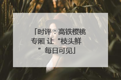 时评：高铁樱桃专厢 让“枝头鲜”每日可见