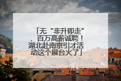 无“非升即走”、百万高薪诚聘！湖北赴南京引才活动这个展台火了