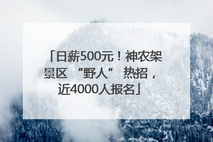 日薪500元！神农架景区 “野人” 热招，近4000人报名
