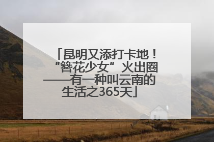 昆明又添打卡地！“簪花少女”火出圈——有一种叫云南的生活之365天