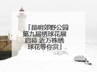 昆明郊野公园第九届绣球花展启幕 近万株绣球花等你赏