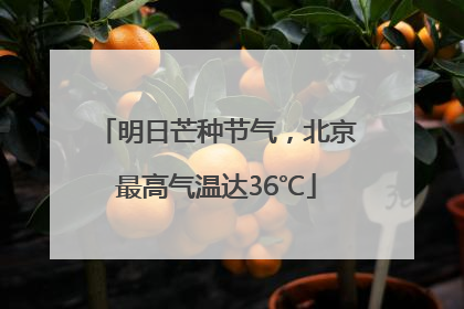 明日芒种节气，北京最高气温达36℃