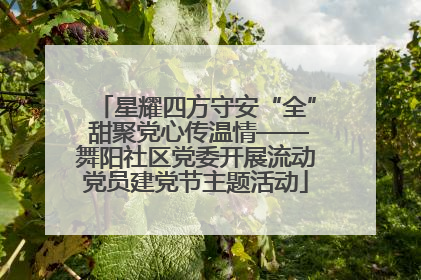星耀四方守安“全” 甜聚党心传温情——舞阳社区党委开展流动党员建党节主题活动