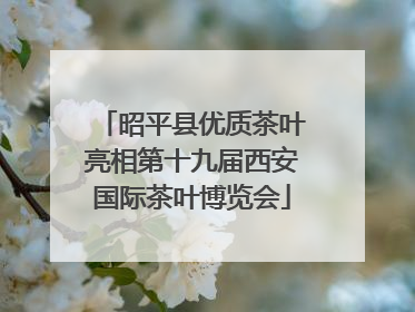 昭平县优质茶叶亮相第十九届西安国际茶叶博览会