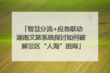 智慧分流+应急联动 湖南文旅系统探讨如何破解景区“人海”困局
