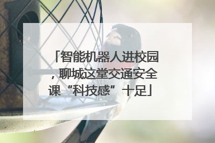 智能机器人进校园，聊城这堂交通安全课“科技感”十足