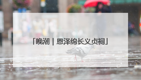 晚潮｜恩泽绵长义贞祠