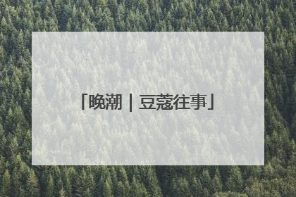晚潮｜豆蔻往事