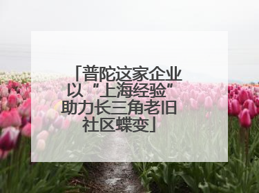 普陀这家企业以“上海经验”助力长三角老旧社区蝶变