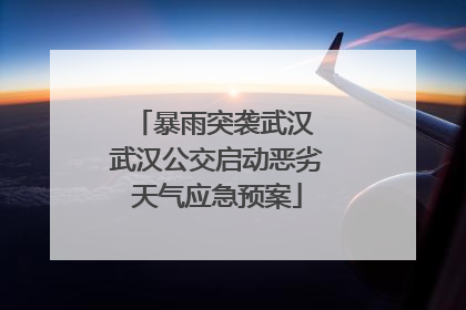 暴雨突袭武汉 武汉公交启动恶劣天气应急预案