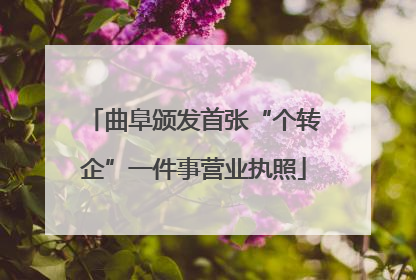 曲阜颁发首张“个转企”一件事营业执照
