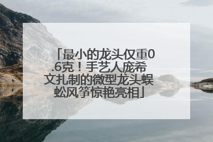 最小的龙头仅重0.6克！手艺人庞希文扎制的微型龙头蜈蚣风筝惊艳亮相