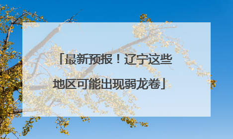 最新预报！辽宁这些地区可能出现弱龙卷