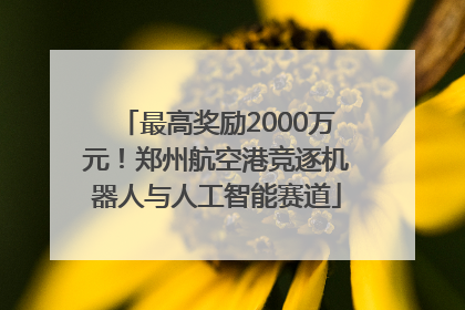 最高奖励2000万元！郑州航空港竞逐机器人与人工智能赛道