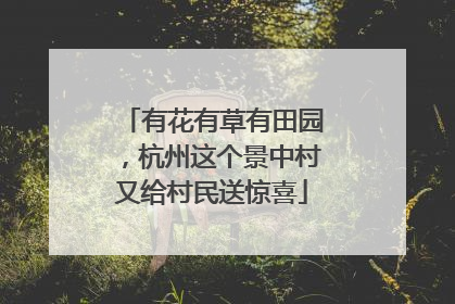 有花有草有田园，杭州这个景中村又给村民送惊喜