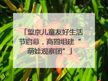 望京儿童友好生活节启幕，商圈组建“萌娃观察团”