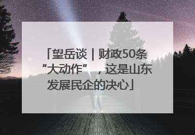 望岳谈｜财政50条“大动作”，这是山东发展民企的决心