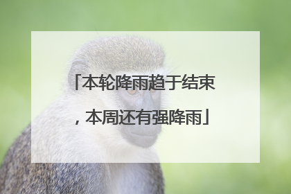 本轮降雨趋于结束，本周还有强降雨