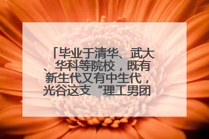 毕业于清华、武大、华科等院校，既有新生代又有中生代，光谷这支“理工男团”为何“出道”？
