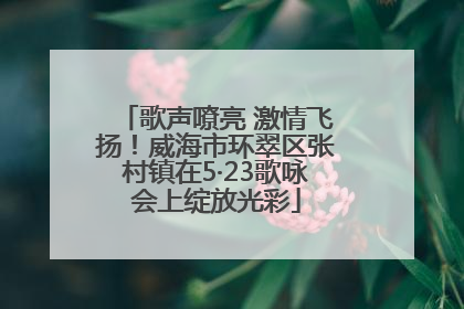 歌声嘹亮 激情飞扬！威海市环翠区张村镇在5·23歌咏会上绽放光彩