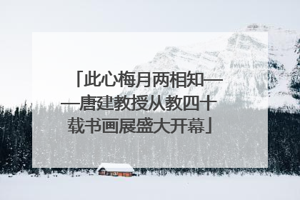 此心梅月两相知——唐建教授从教四十载书画展盛大开幕
