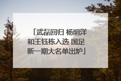 武磊回归 杨明洋和王钰栋入选 国足新一期大名单出炉