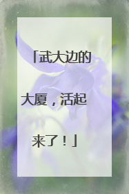 武大边的大厦，活起来了！
