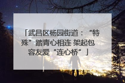 武昌区杨园街道：“特殊”踏青心相连 架起包容友爱“连心桥”