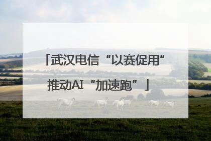 武汉电信“以赛促用”推动AI“加速跑”