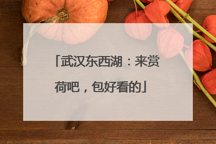 武汉东西湖：来赏荷吧，包好看的