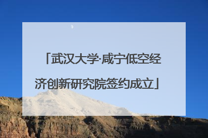 武汉大学·咸宁低空经济创新研究院签约成立