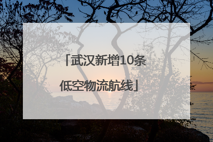 武汉新增10条低空物流航线