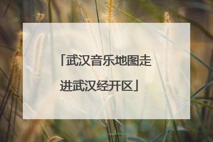 武汉音乐地图走进武汉经开区