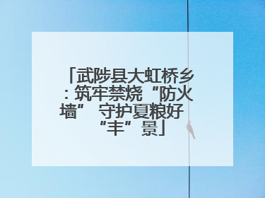 武陟县大虹桥乡：筑牢禁烧“防火墙” 守护夏粮好“丰”景