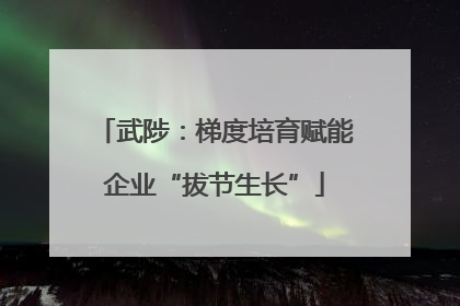 武陟：梯度培育赋能企业“拔节生长”