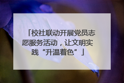 校社联动开展党员志愿服务活动，让文明实践“升温着色”