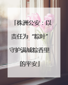株洲公安：以责任为“粽叶”守护满城粽香里的平安