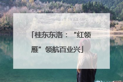 桂东东洛：“红领雁”领航百业兴