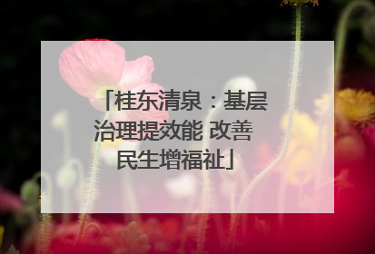 桂东清泉：基层治理提效能 改善民生增福祉
