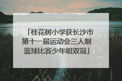 桂花树小学获长沙市第十一届运动会三人制篮球比赛少年组双冠